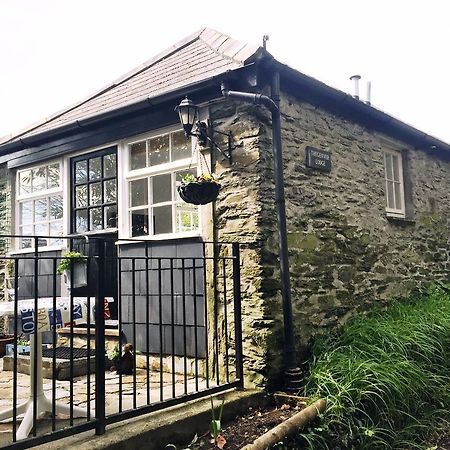 Tregenver Lodge Falmouth Ngoại thất bức ảnh